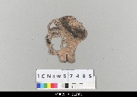 藏品(中國湖北皮影戲偶頭-生)的圖片